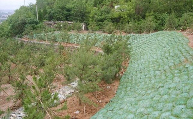 �c(di��n)���鿴Ԕ��(x��)��Ϣ��(bi��o)�}�����B(t��i)��ʩ�� ��x�Δ�(sh��)��1995