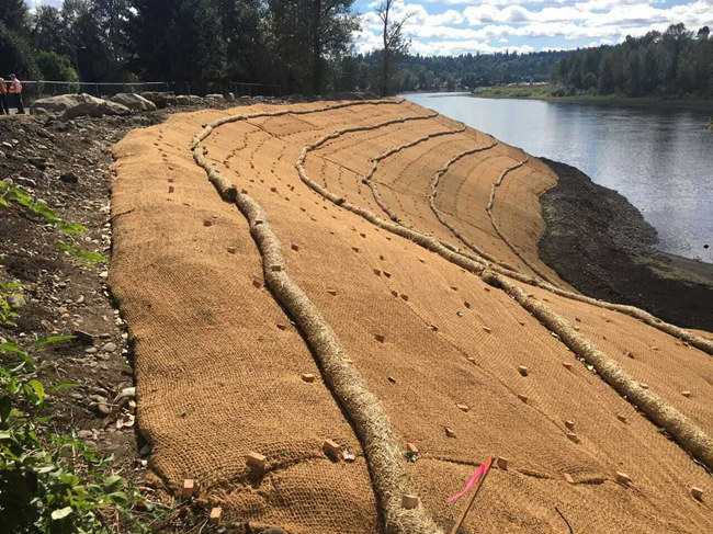 �c(di��n)���鿴Ԕ��(x��)��Ϣ��(bi��o)�}��ֲ��̺ʩ�� ��x�Δ�(sh��)��2007